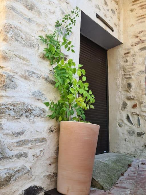 La Casa Cosy Love, Avec Jacuzzi Et Sauna Prives Palau-del-Vidre Extérieur photo